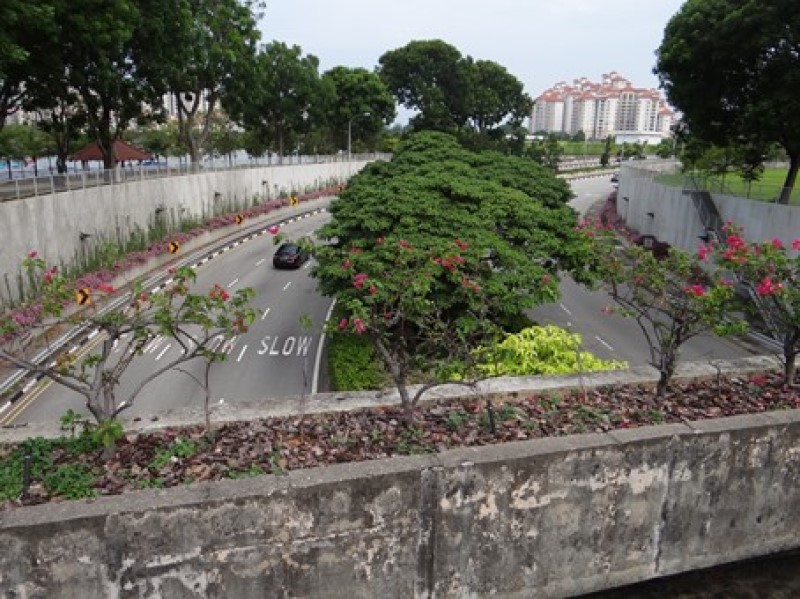 Singapur_sprievodna zelen pri cestnej komunikacii_Majorošová2015